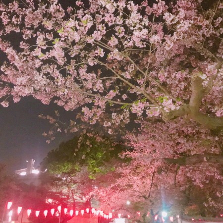 1AA58DD7-AAC1-48C9-9F5B-55A1E6482A41