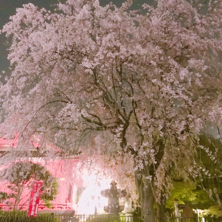 BB0E7E64-0246-47EB-B9B6-446B24E3B327