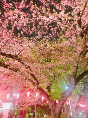 CB4E5D18-5074-44AF-BD28-0BC8EA72401D